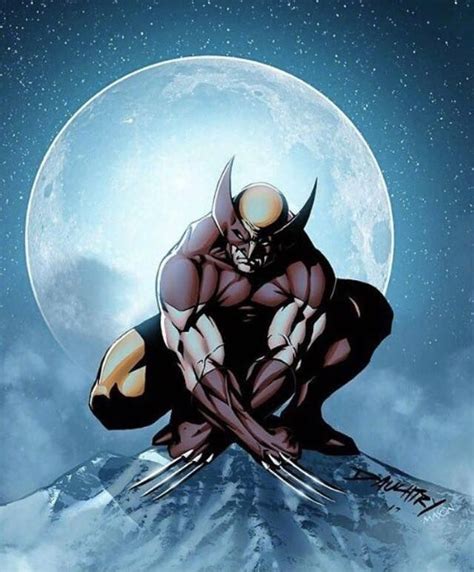 Wolverine | Wolverine art, Wolverine marvel, Wolverine