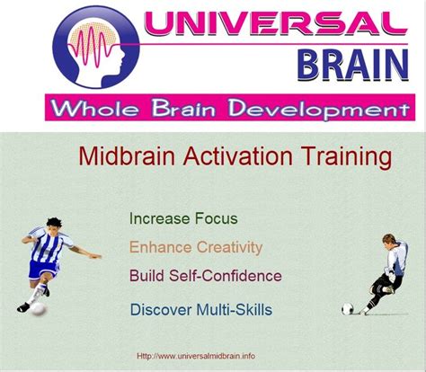 8 Best images about Midbrain Activation Training on Pinterest ...