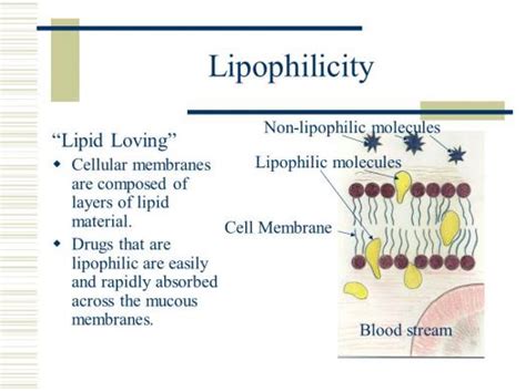 Quiz About Lipoprotein - ProProfs Quiz