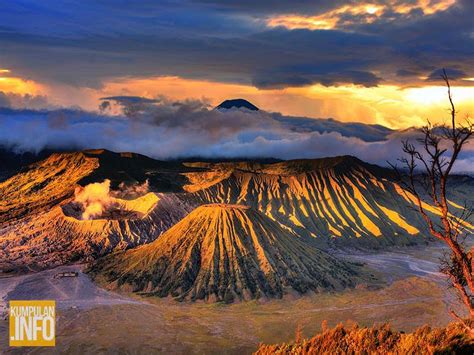 20 Lukisan Pemandangan Gunung Bromo Arti Gambar - Riset