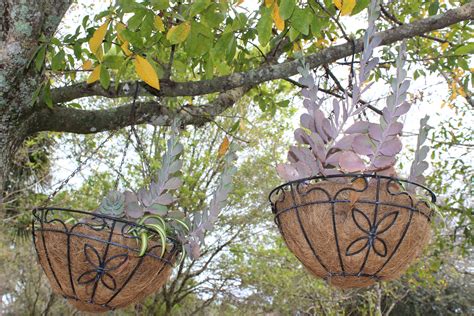 Decorating Your Yard with Hanging Baskets