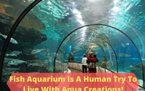 Fish Aquarium Is A Human Try To Live With Aqua Creations! - Amazing Viral News