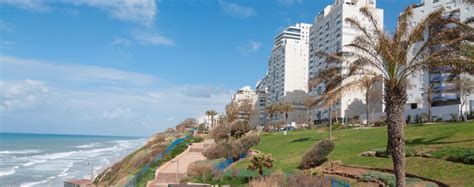 Netanya Properties | Creative Estates - Investments & Management