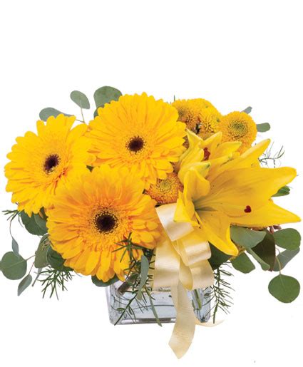 Petite Yellow Flower Arrangement | Just Because | Flower Shop Network