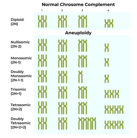 Chromosomal Disorders: Principles of Inheritance And Variation Class12 - GeeksforGeeks