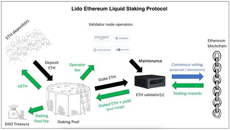 Liquid Staking with Lido | Messari