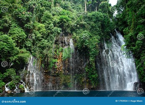 Tropical Waterfall in Jungle Stock Photo - Image of lianas, scenic: 1793934