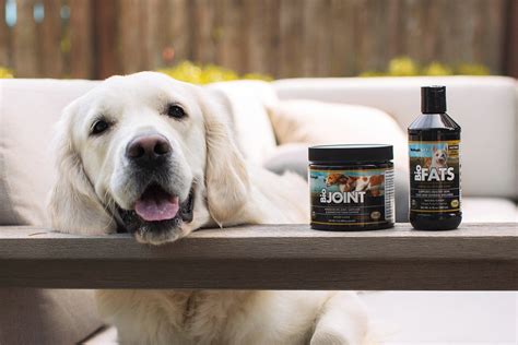 The Importance of Lignans for Your Pet – FloraHealthca-en