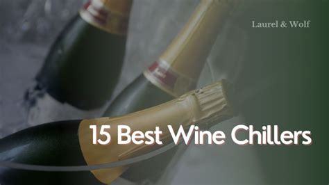 15 Best Wine Chillers of 2023: Reviews & Buying Guide