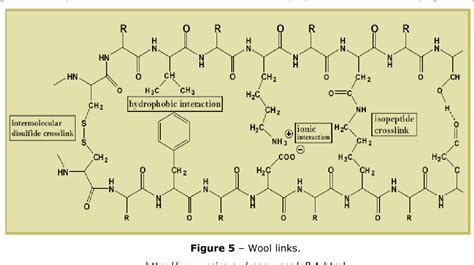 [PDF] CHEMYPROTEIN WOOL KERATIN DESCRIPTION Hydrolized keratin ...