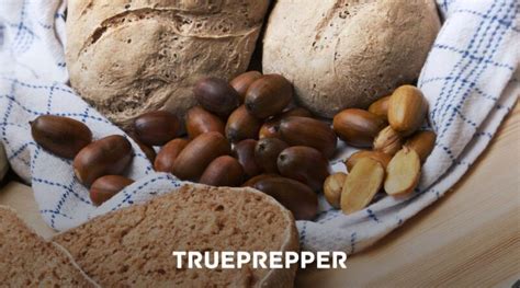 How to Make Acorn Bread | TruePrepper