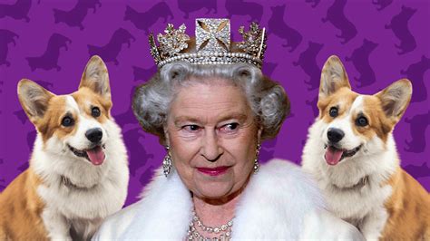 Do The Queens Corgis Have Tails