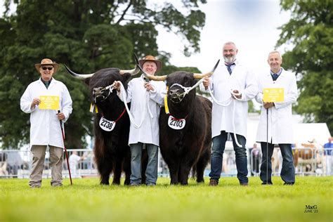 Royal Highland Show 2023 — Highland Cattle Society