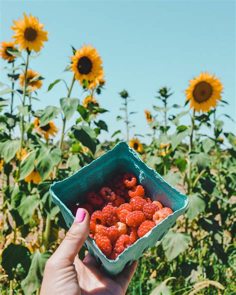 Central California Road Trip: Where To Stop Along The Way — Go Seek Explore