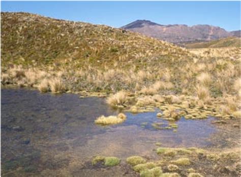 An alpine tarn-or small lake-on the flanks of Mt Tongariro, Volcanic ...