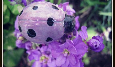 Pin by Suzy Putman on BLUE SMURF | Purple ladybugs, Ladybug, Purple