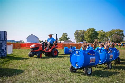 Brown's Family Farm Market is good, old-fashioned fall fun - Cincinnati ...