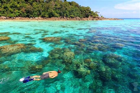 Snorkel Tour aux îles Surin par Fantastic Similan de Khao Lak 2024 ...