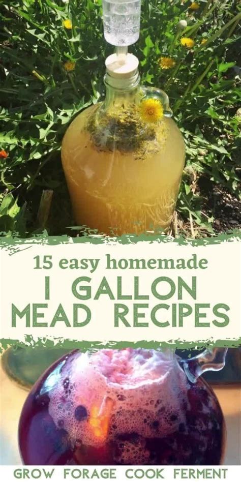 15 Easy Mead Recipes for Beginners [Video] [Video] in 2021 | Mead recipe, Homemade wine recipes ...