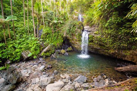 Juan Diego Falls at El Yunque Rainforest Puerto Rico Stock Photo ...