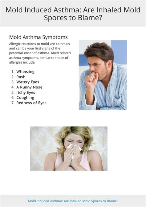 Mold Induced Asthma: Are Inhaled Mold Spores to Blame?