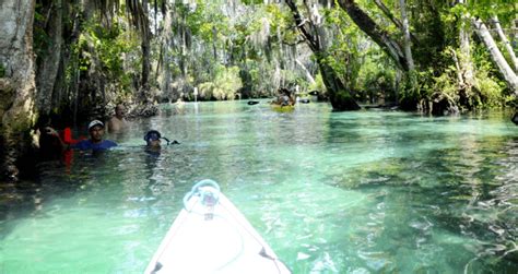 5 Central Florida Kayaking Experiences Every Orlandoan Needs to Have