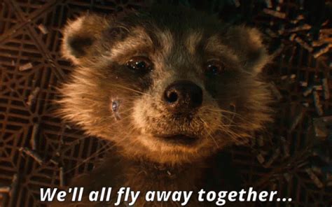 Rocket Raccoon We Will All Fly Away Together GIF - Rocket Raccoon We Will All Fly Away Together ...