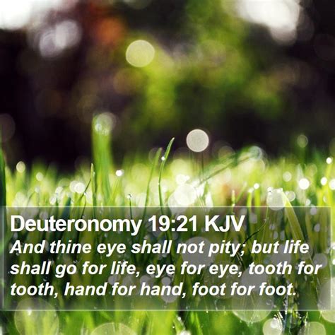 Deuteronomy 19 Scripture Images - Deuteronomy Chapter 19 KJV Bible Verse Pictures