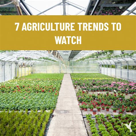 7 Agriculture Trends to Watch - Producers Stories