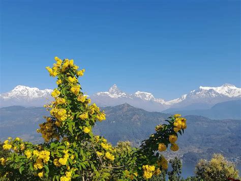 Pokhara Valley Tour