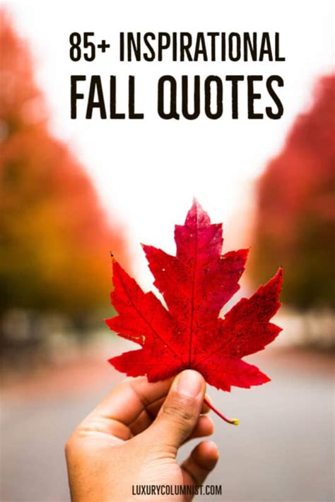 85+ Inspirational Fall Quotes | Short, Happy And Funny Autumn Sayings