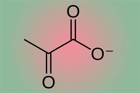 Pyruvate Facts and Oxidation