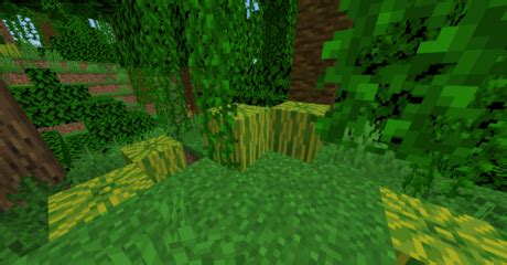 6 Ways to Find Melon Seeds in Minecraft - wikiHow