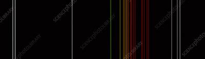 Emission Spectrum of Neon - Stock Image - C030/7506 - Science Photo Library