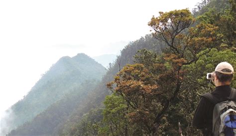 Stunning Bạch Mã National Park conserves unique biodiversity