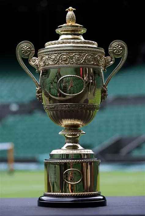 People only just discovering 'willy waving' reason Wimbledon trophy has pineapple on it - Daily Star