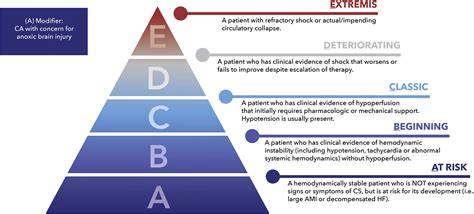 SCAI SHOCK Stage Classification Expert Consensus Update: A Review and Incorporation of ...