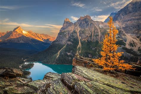 Desktop Hintergrundbilder Kanada Yoho Lake O'Hara Berg Natur Herbst