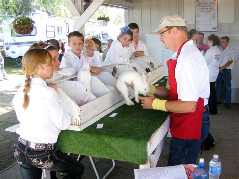 Osceola County Fair in full swing