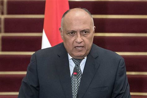 Egypt’s FM to join meeting with Lapid, Blinken, Abraham Accord signatories in Israel’s Negev ...