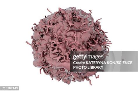 Lung Cancer Cell Illustration High-Res Vector Graphic - Getty Images