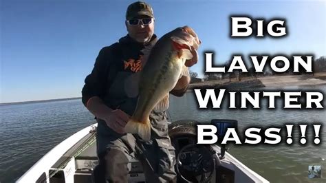 Lake Lavon Bass Fishing W/ Fish Lyfe Outdoors!!! - YouTube