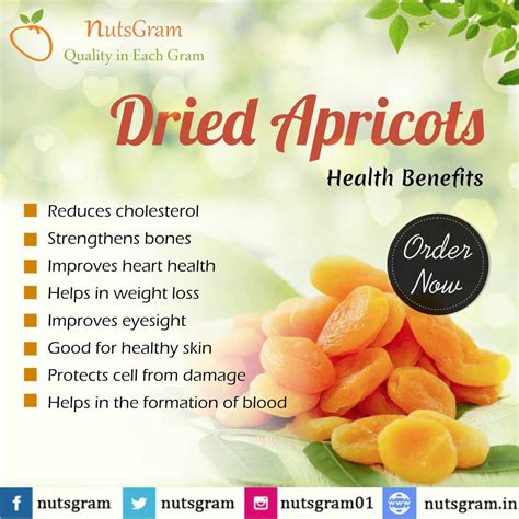 Apricot Dried Benefits - Twin Fruit