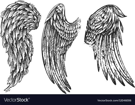 Wings bird Royalty Free Vector Image - VectorStock