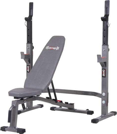 Body Champ Two Piece Set Olympic Weight Bench with Squat Rack PRO3900, Benches - Amazon Canada