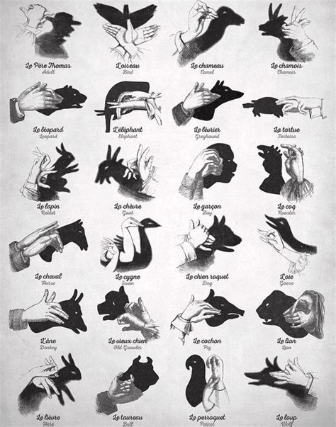 Hand Shadow Puppets