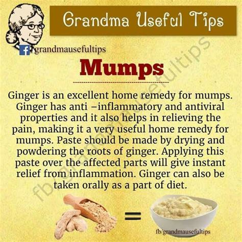 Natural Remedies for Mumps | Natural remedies for arthritis, Holistic ...