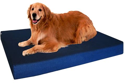 Best Dog Beds for Older Dogs (Keeping Your Companion Comfy)