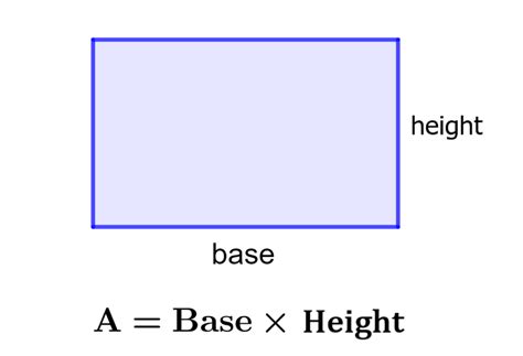 Area of a Rectangle - Formulas and Examples - Neurochispas