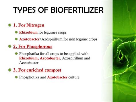 PPT - BIOFERTILIZER PowerPoint Presentation - ID:5876066